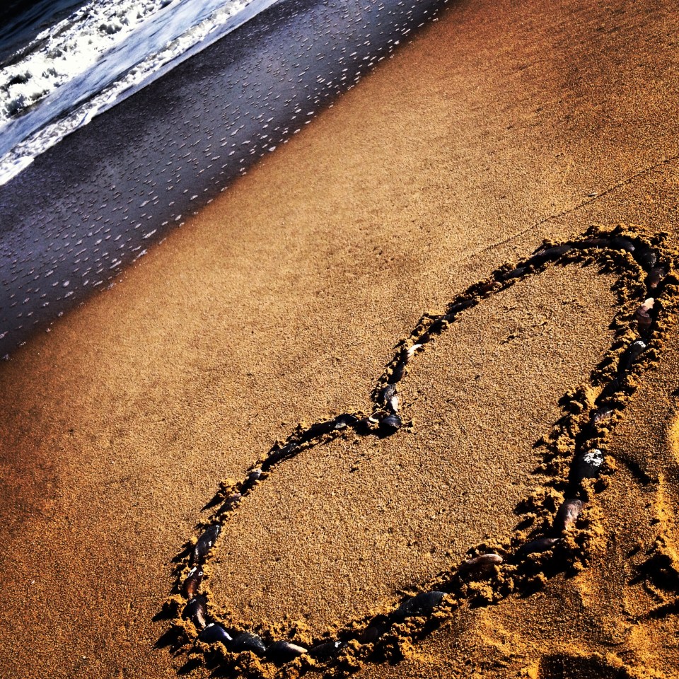 Marry a Girl Who Travels