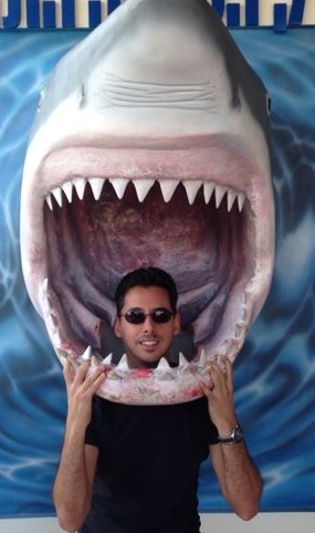 Shark head at the Eilat Underwater Observatory 
