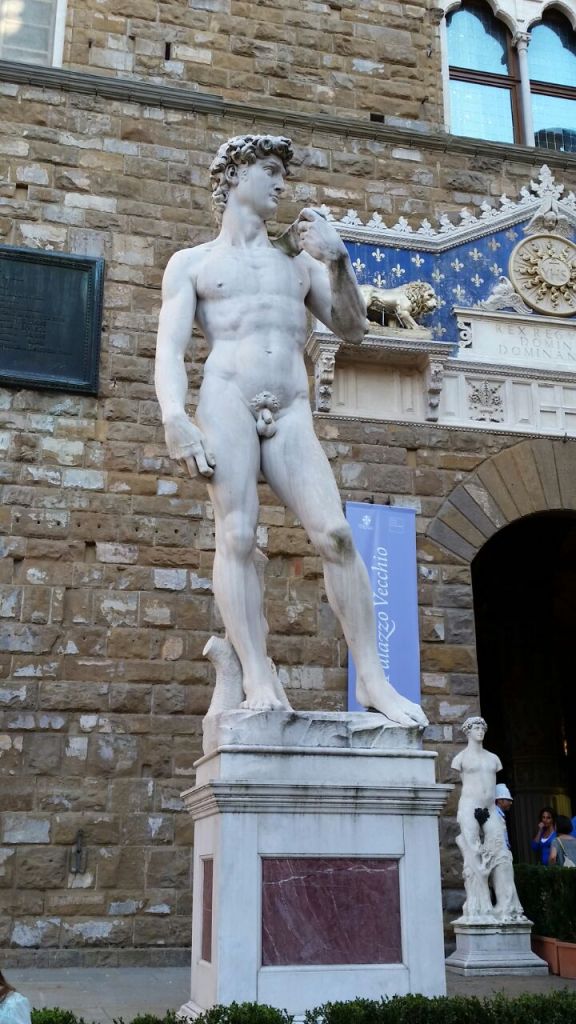 Statue of The David