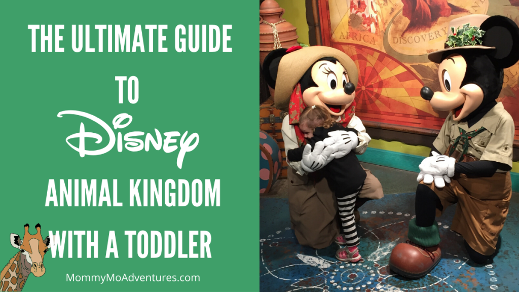 The Ultimate Guide to Disney's Animal Kingdom with a Toddler