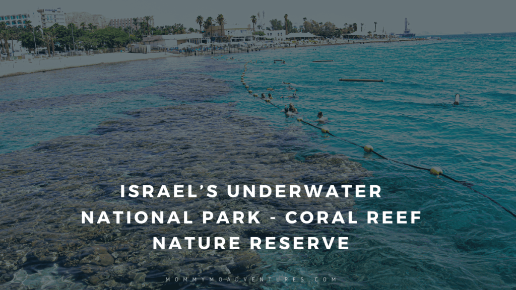 Coral Reef Nature Reserve