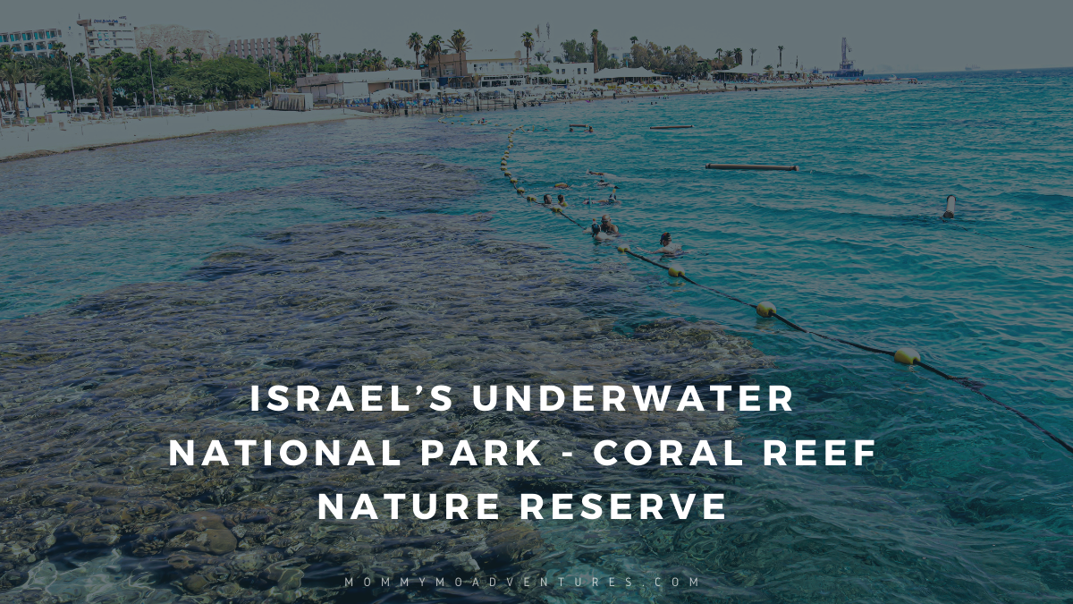 Israel’s Underwater National Park – Coral Reef Nature Reserve
