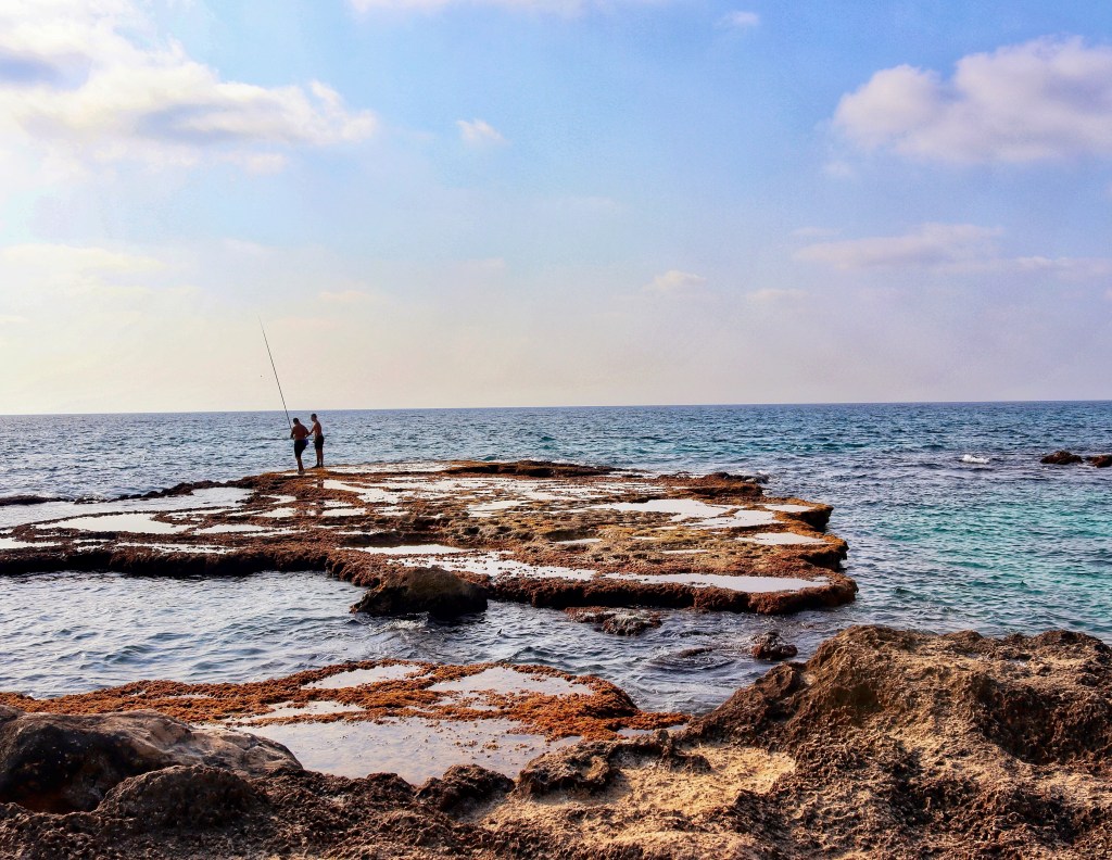 lagoons and tide pools