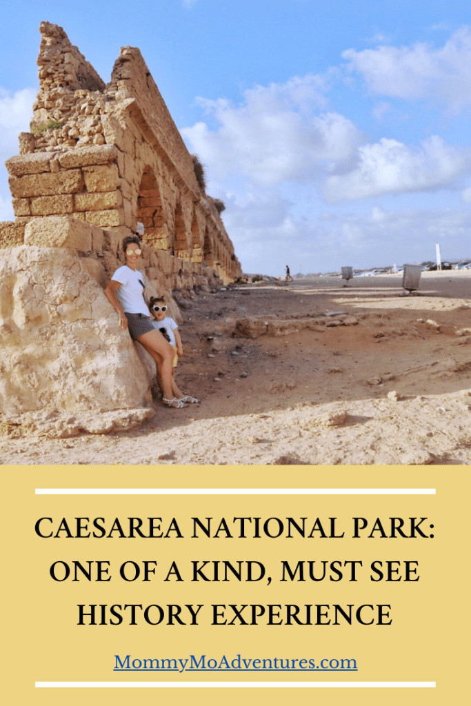 Caesarea National Park Pin