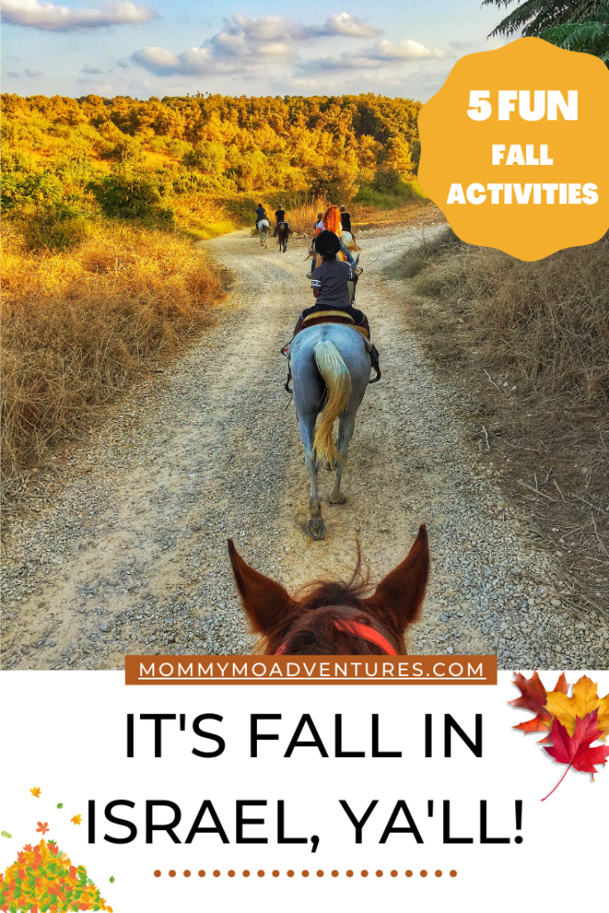 IT'S FALL IN ISRAEL, YA'LL PIN