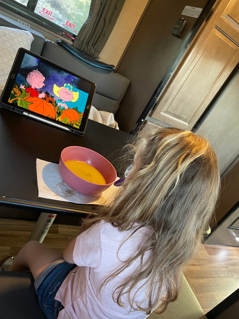 watching videos and shows in an RV