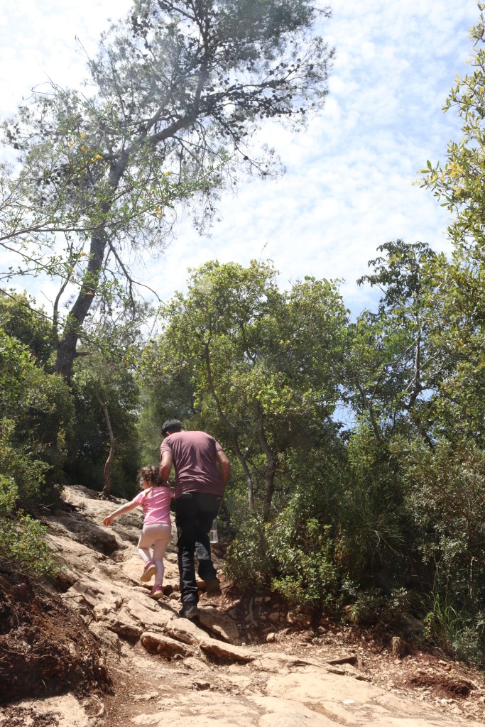 Hiking in the Mount Carmel National Forest 
