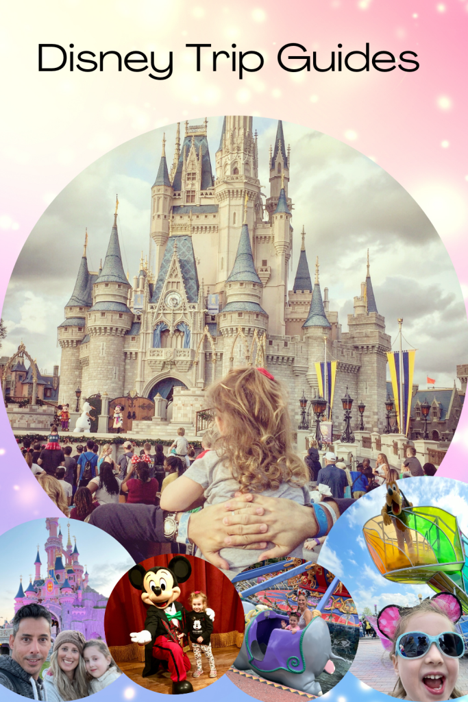 Disney Trip guides pin