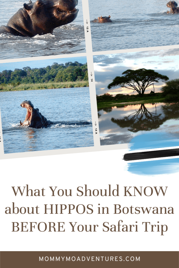 Africa Travel Guides