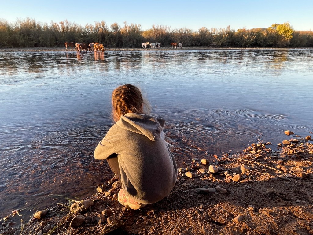 Coon Bluff Hiking Trail