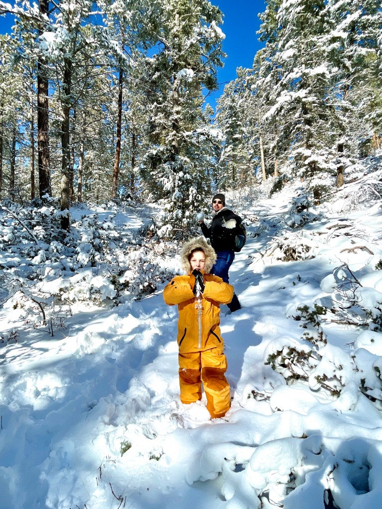 Snow day in Santa Fe, NM