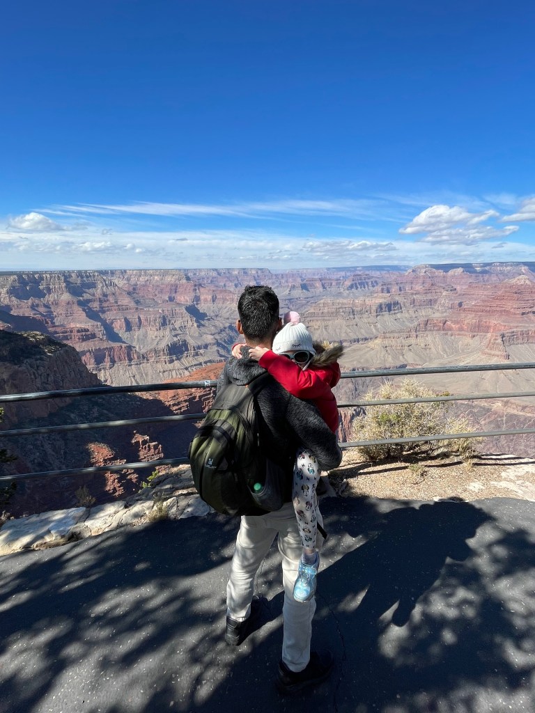 view of the Grand Canyon