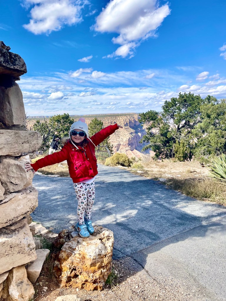 Grand Canyon picture idea