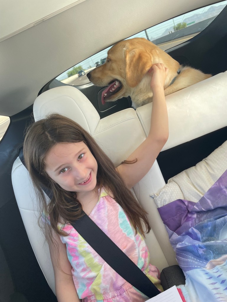 Road trips with kids and dogs