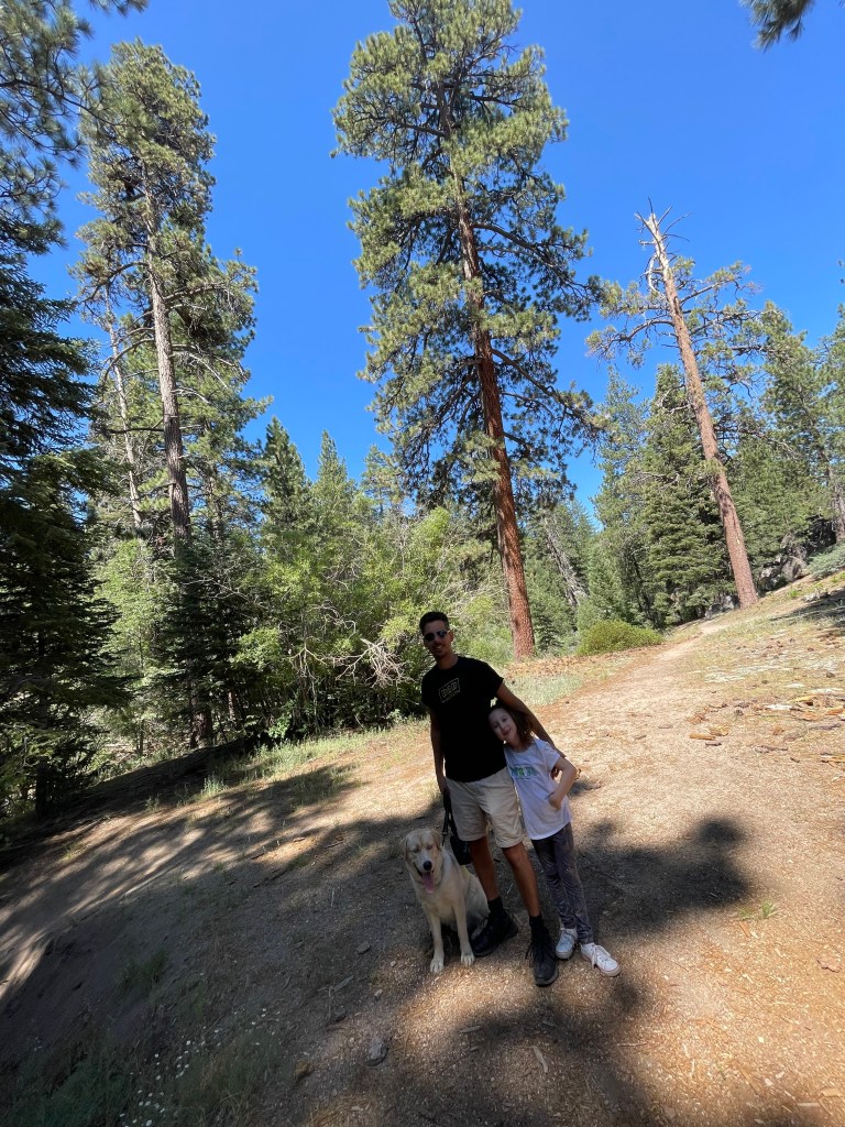 Hiking trails at Big Bear