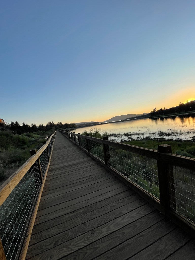 Stanfield Preserve Boardwalk