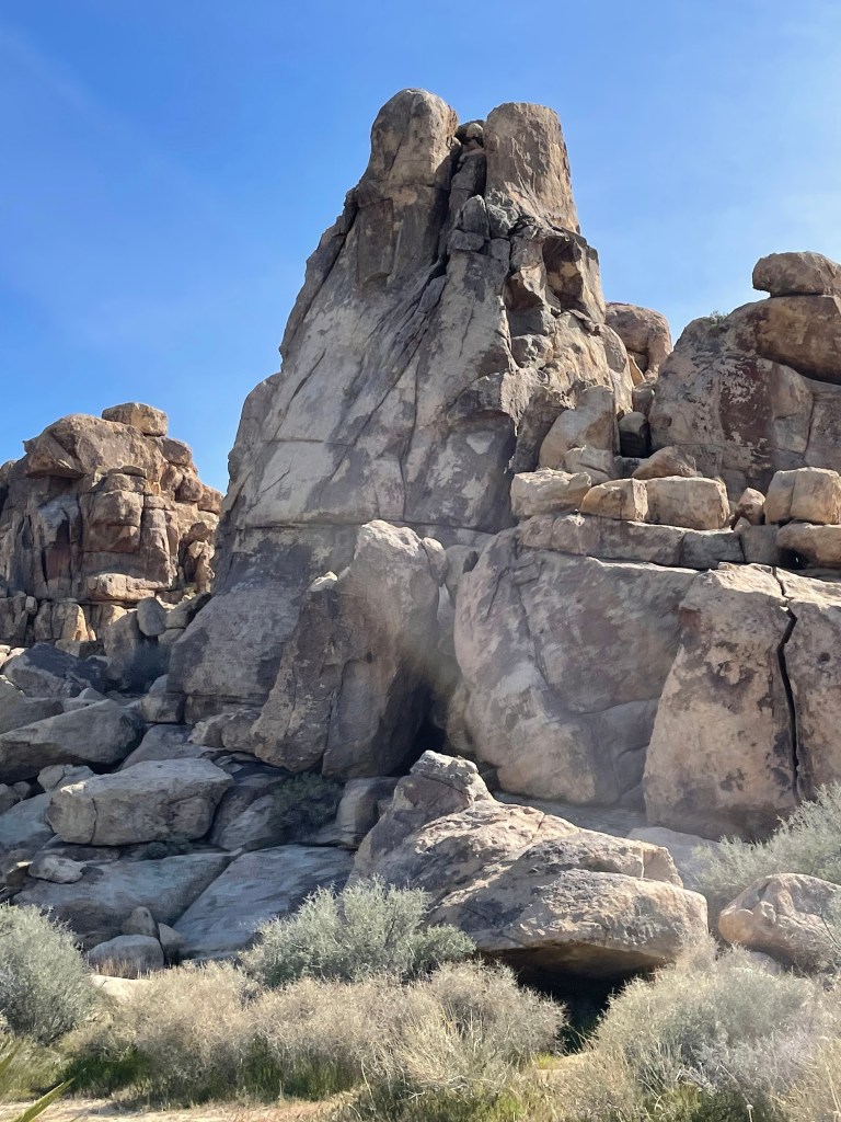Joshua Tree National Park