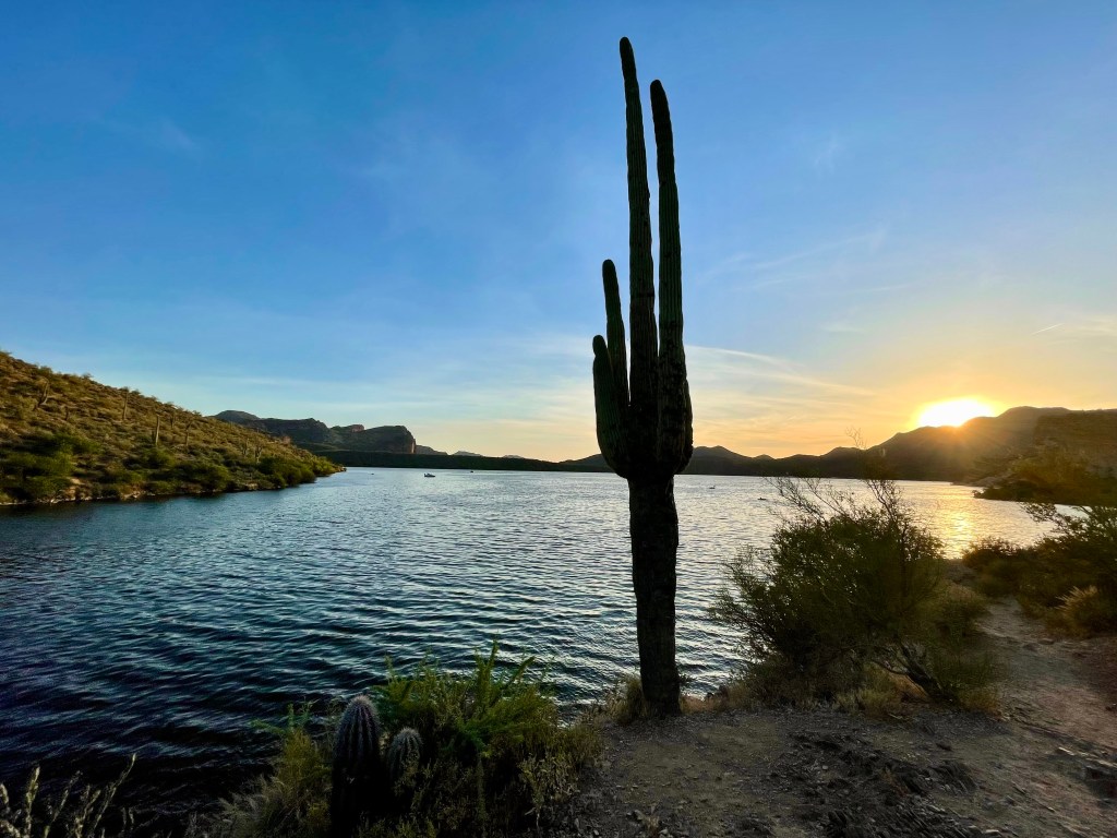 Saguaro Lake